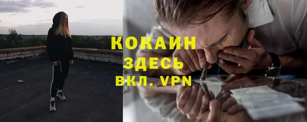 спиды Алзамай