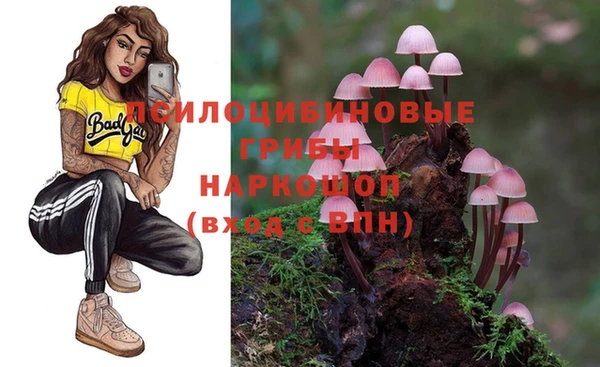 спиды Алзамай