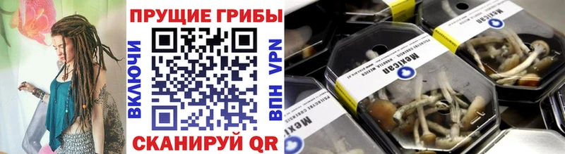 Галлюциногенные грибы мицелий даркнет клад Тулун как найти закладки